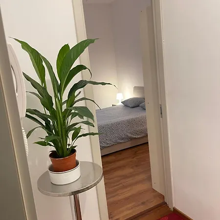 Rivellino App 2 Apartment *